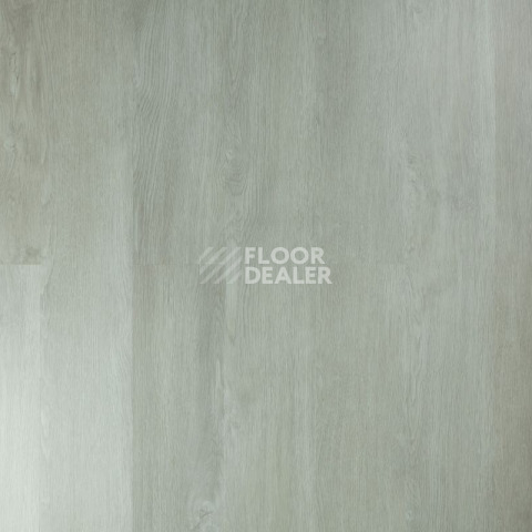 Tarkett Funky House CRUZE фото 7 | FLOORDEALER
